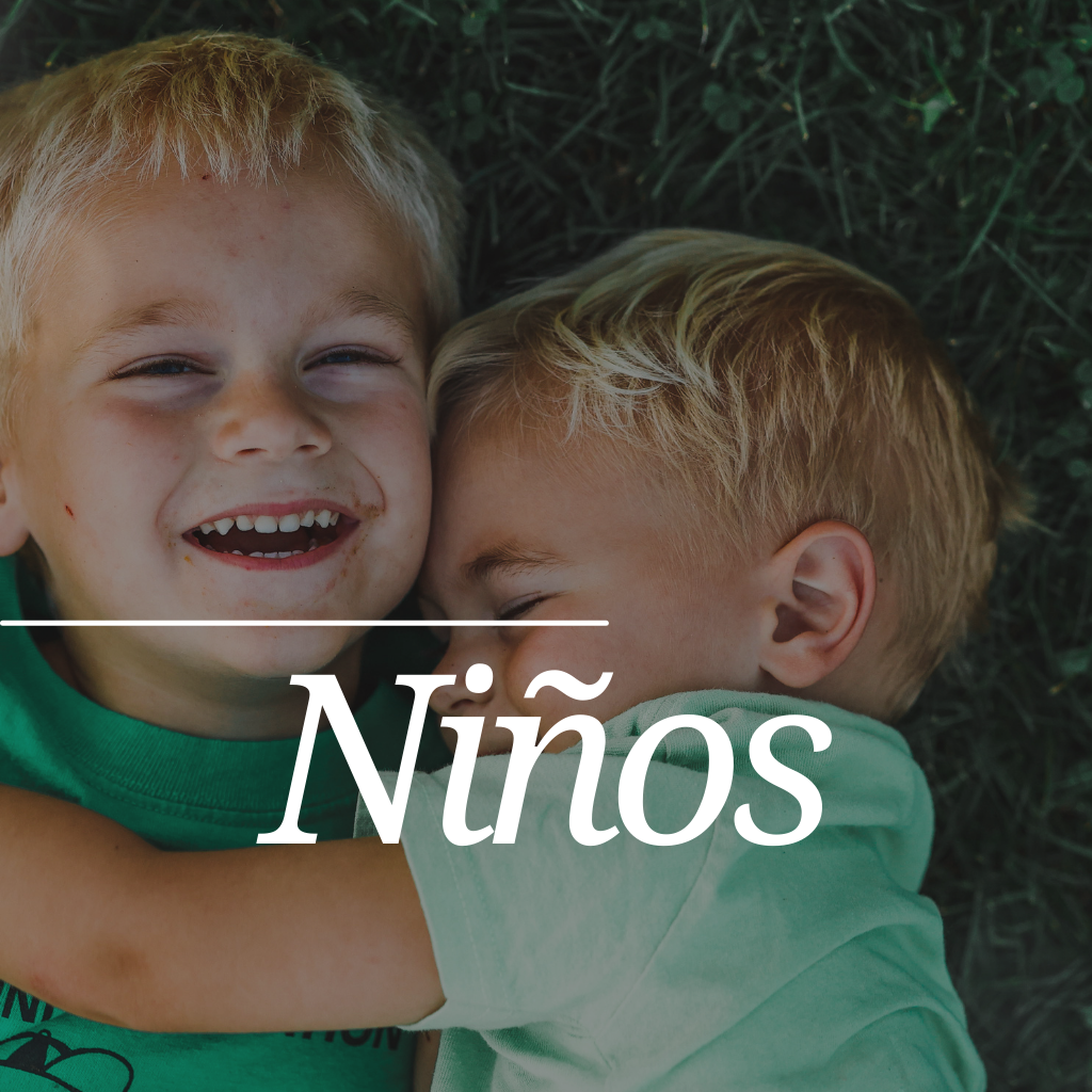 Collection Nuevos arribos image